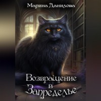 . Возвращение в Запределье