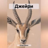 . Джейри