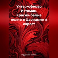 . Унтер-офицер Истомин. Красно-белые волны в Царицыне и окрест