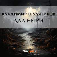 Владимир Михайлович Шулятиков. Ада Негри