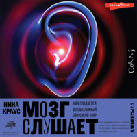 Нина Краус. Мозг слушает. Как создается осмысленный звуковой мир