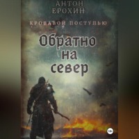 . Обратно на север. Кровавой поступью
