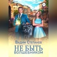 Вадим Степанов. Не быть волшебником