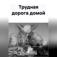 Александр Щукин. Трудная дорога домой