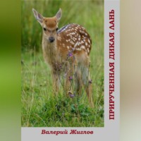 . Прирученная дикая лань