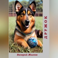 Валерий Жиглов. Дружок