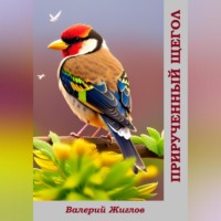 Валерий Жиглов. Прирученный щегол