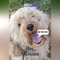 . Нос Малыша