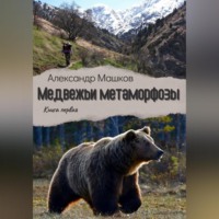 . Медвежьи метаморфозы