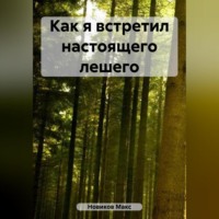 . Как я встретил настоящего лешего