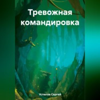 . Тревожная командировка