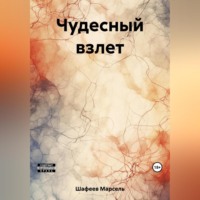 . Чудесный взлет