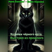 . Хозяйки черного кота. Выстрел из прошлого