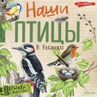 . Наши птицы