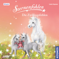 Linda Chapmann. Sternenfohlen, Teil 22: Die Zwillingsfohlen