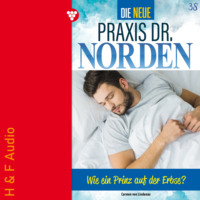 Carmen von Lindenau. Wie ein Prinz auf der Erbse - Die neue Praxis Dr. Norden, Band 38 (ungek?rzt)