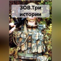 Виктор Васильевич Бушмин. ЗОВ.Три истории