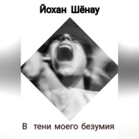 . В тени моего безумия