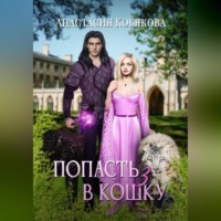 . Попасть в кошку 3