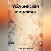 . Уссурийская метелица