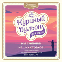 Эми Ньюмарк. Куриный бульон для души. Мы сильнее наших страхов. 101 история о людях, которые рискнули ради мечты