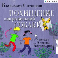 Владимир Сотников. Похищение неправильной собаки