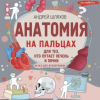 Андрей Шляхов. Анатомия на пальцах. Для детей и родителей, которые хотят объяснять детям