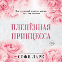 . Пленённая принцесса