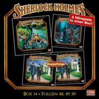 Marc Gruppe. Sherlock Holmes - Die geheimen F?lle des Meisterdetektivs, Box 14: Folgen 48, 49, 50