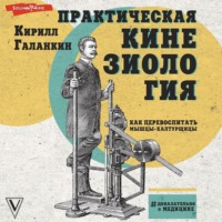 . Практическая кинезиология. Как перевоспитать мышцы-халтурщицы