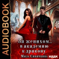 . За женихом… в академию к дракону