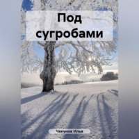 . Под сугробами