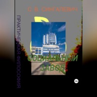 Сергей Васильевич Сингалевич. Социальный завод. Практическая философия