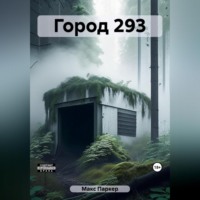 . Город 293