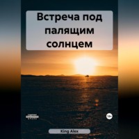 . Встреча под палящим солнцем