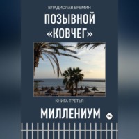 . Позывной Ковчег. Книга третья. Миллениум