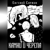 Евгений Леонидович Саржин. Камни и черепа