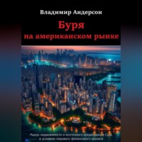 Владимир Андерсон. Буря на американском рынке