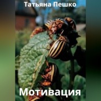 . Мотивация