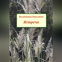 . Встреча