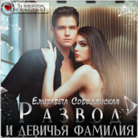 Елизавета Соболянская. Развод и девичья фамилия