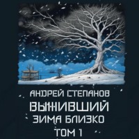 Андрей Валерьевич Степанов. Выживший: Зима близко. Том 1