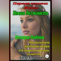 . Новая должность. Первая измена Жены. История падения