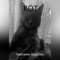 Светлана Викторовна Бодрова. Кот