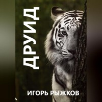 . Друид