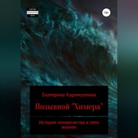 . Позывной «Химера»