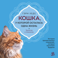 . Кошка, у которой осталась одна жизнь