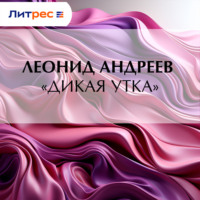 . «Дикая утка»