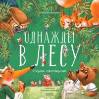 Ксения Валаханович. Однажды в лесу