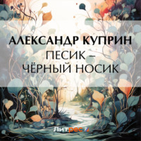 . Песик – Чёрный Носик